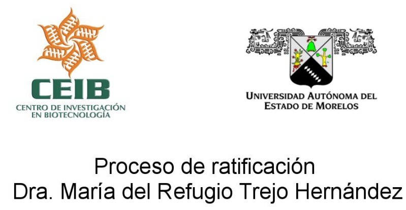 Proceso de ratificación Dra. María del Refugio Trejo Hernández